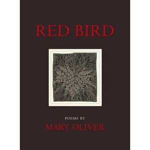 Red Bird -- Mary Oliver